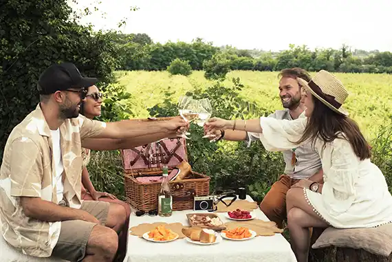 picnic in the vineyard