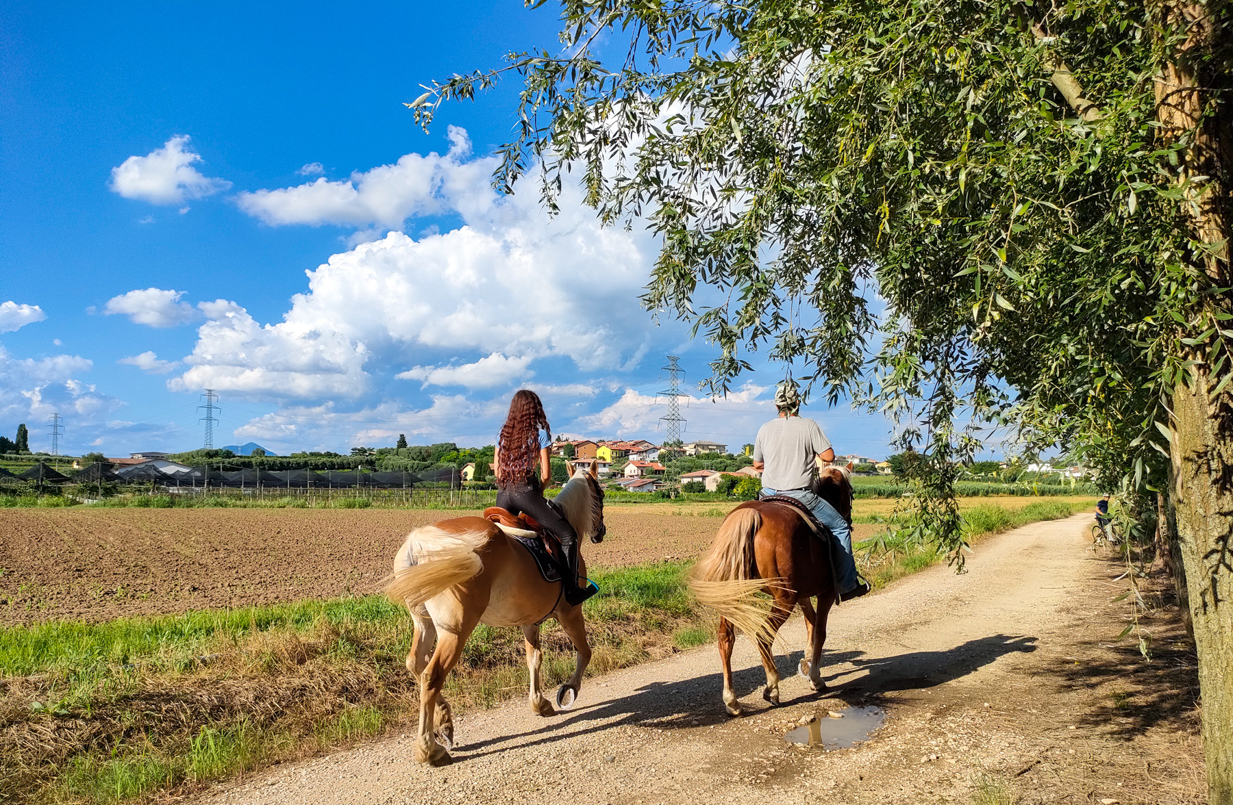 Horseback riding with Pic Nic in Lazise countryside